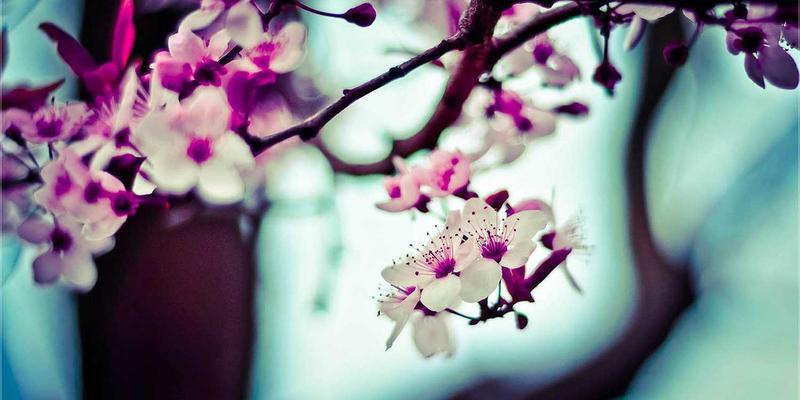 兰州科技设计62：当工业风遇见科技创新，重塑西北设计新范式