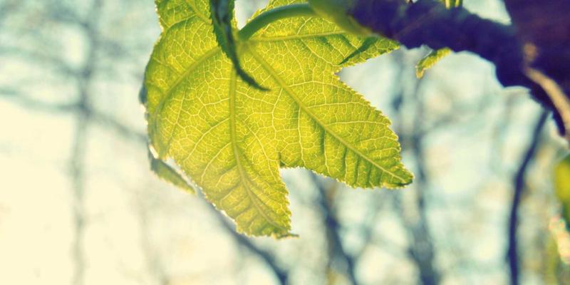 兰州科技设计74：工业设计与产品创新的核心驱动力