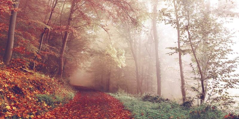 兰州科技设计8：融合结构设计、工业设计与用户体验的创新实践