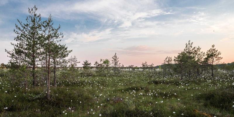 兰州科技设计中的仿真与测试技术：从原型制作到产品可靠性的科技创新之路