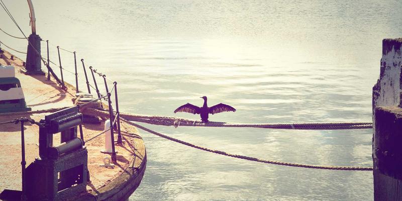 兰州科技设计如何以产品设计与工业设计为引擎，重塑城市品牌形象与影响力