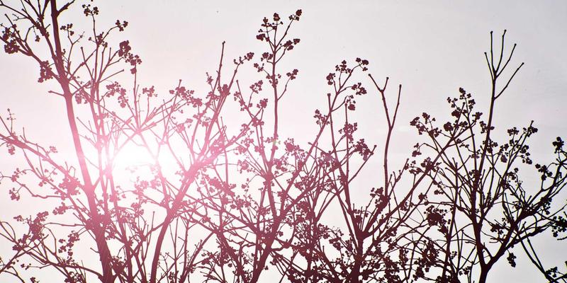 科技创新驱动工业风设计：兰州本地资源如何通过新材料原型制作实现产品创新